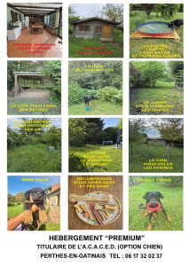 Photo de galerie - PENSION POUR CHIENS