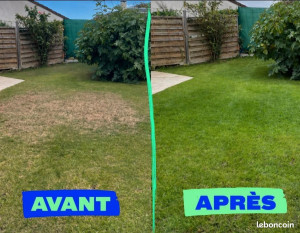 Photo de galerie - Tonte de pelouse avant et après 