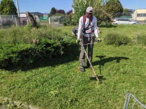 Photo de galerie - Tonte de pelouse - Débroussaillage