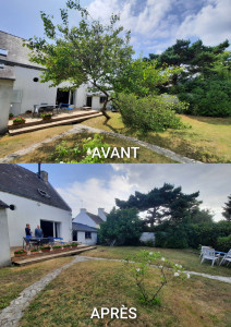 Photo de galerie - Elagage et coupe d'arbres