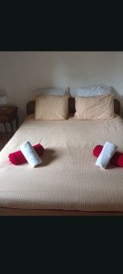 Photo de galerie - Bonjour je sais faire le lit avec serviette par-dessus 