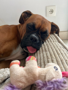 Photo de galerie - Petite pause 