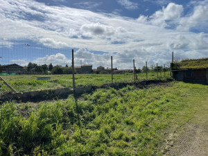 Photo de galerie - Pose poteau sapin brut ou fer (au choix du client)avec grillage 18m linéaire 