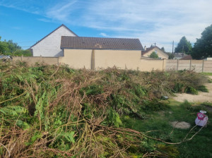 Photo de galerie - Elagage et coupe d'arbres