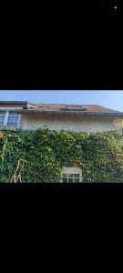 Photo de galerie - Après taille des vignes face de de maison 