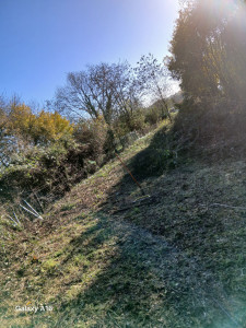 Photo de galerie - Foto terrain a débroussaille 