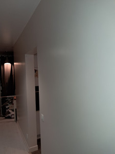 Photo de galerie - Peinture - Tapisserie