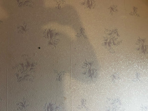 Photo de galerie - .