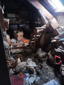 Photo de galerie - Grenier a vider,avec nettoyage des dégâts créé part les pigeons.