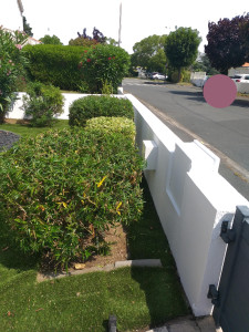 Photo de galerie - Peinture - Tapisserie