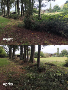 Photo de galerie - Débroussaillage 