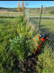 Photo de galerie - Plantation arbustes - Lauriers Rose etc ..