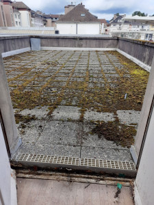 Photo de galerie - Traitement mousse