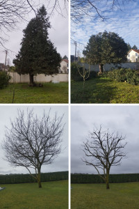 Photo de galerie - Avant après selon le souhait du client 