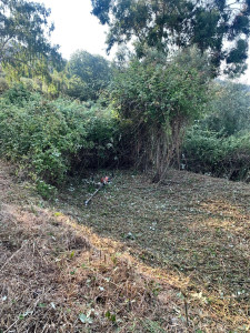 Photo de galerie - Remise en état débroussaillage 