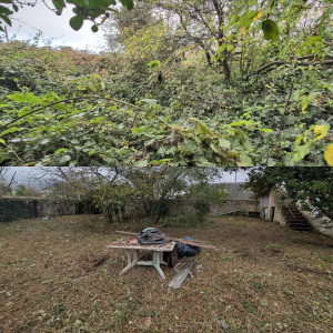 Photo de galerie - Débroussaillage