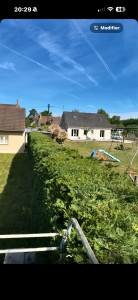 Photo de galerie - Élagage d'une haie de cyprès de 2m30 de hauteur sur 1m de largeur.