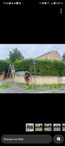 Photo de galerie - Taille haie 