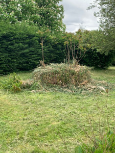 Photo de galerie - Taille de haie 