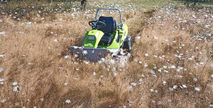 Photo de galerie - Tonte de pelouse - Débroussaillage