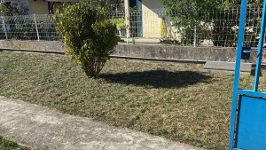 Photo de galerie - Paysagiste entretien de jardin 