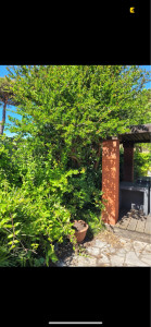 Photo de galerie - Faire de l’espace à son jardin? 