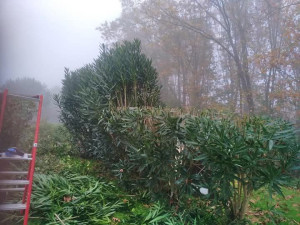 Photo de galerie - Jardinier