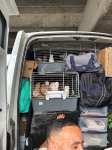 Photo de galerie - Je m’en occupe de tout vide maison /garage/box 