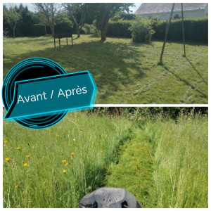 Photo de galerie - Après de long mois sans tonte, passage de tondeuse et debroussailleuse pour le terrain. Il a retrouvé ça réelle destination. Client satisfait