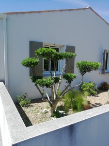 Photo de galerie - Jardinier