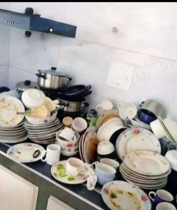 Photo de galerie - Aide à domicile