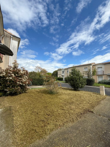 Photo de galerie - Tonte de pelouse - Débroussaillage