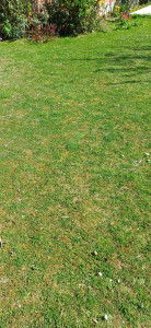 Photo de galerie - Jardinier