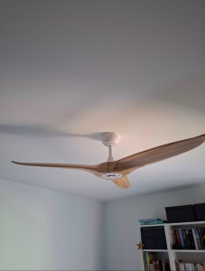 Photo de galerie - Ventilateur plafond 