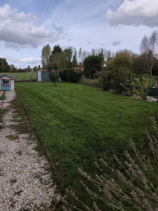 Photo de galerie - Tonte chez un particulier

