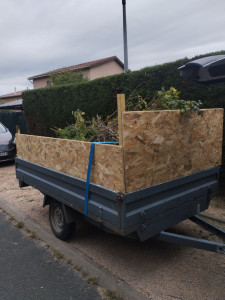 Photo de galerie - Taille de haie plus évacuation. des déchets 