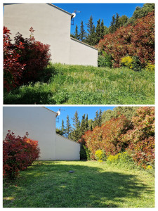 Photo de galerie - Tonte pelouse + débroussaillage 