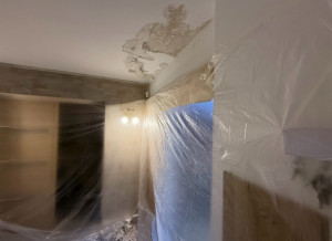 Photo de galerie - Peinture - Tapisserie