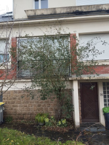 Photo de galerie - Taille de haies et d'arbustes