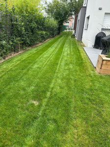 Photo de galerie - Tonte de pelouse 