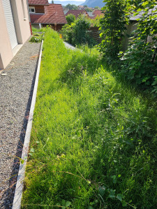 Photo de galerie - Tonte de pelouse - Débroussaillage