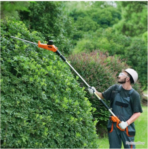 Photo de galerie - Taille de haies 