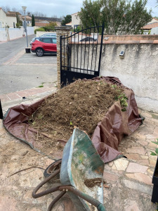 Photo de galerie - Fin de chantier : débarrassage des déchets verts