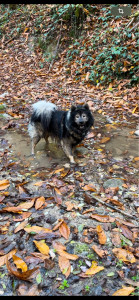 Photo de galerie - Petite photo de mon Loulou 