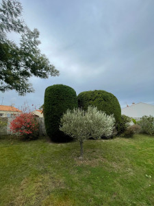 Photo de galerie - Paysagiste 