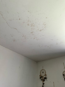 Photo de galerie - Lessivage des murs et plafond 