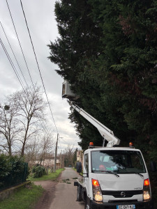 Photo de galerie - Dégagement de file électrique avec camion nacelle à dracé 