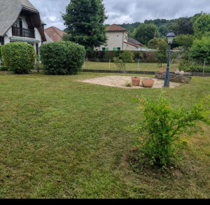 Photo de galerie - élagage d’arbres 