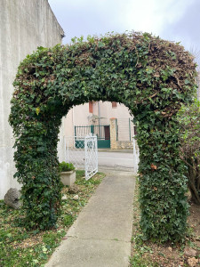 Photo de galerie - Taille en arche de lauriers 