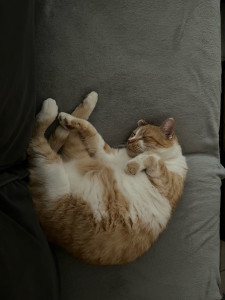 Photo de galerie - Trop fatigué 